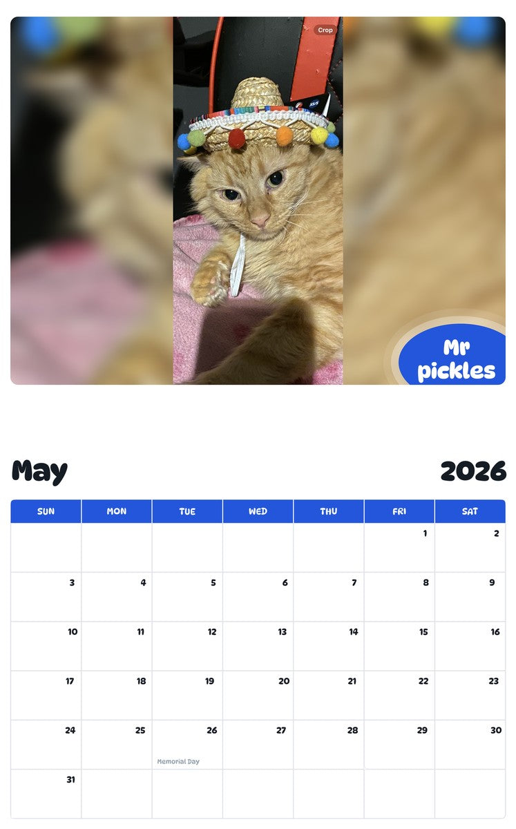 2026 - 2027 Mr pickles - Pawidols Pet Calendar