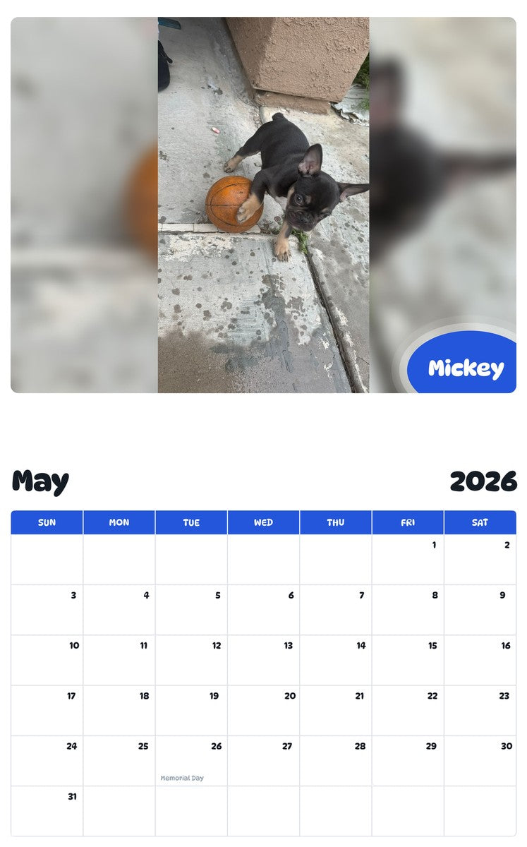 2026 - 2027 Mickey - Pawidols Pet Calendar