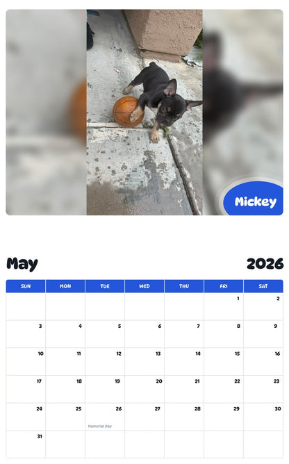 2026 - 2027 Mickey - Pawidols Pet Calendar