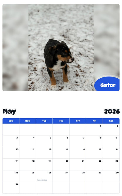 2026 - 2027 Gator - Pawidols Pet Calendar