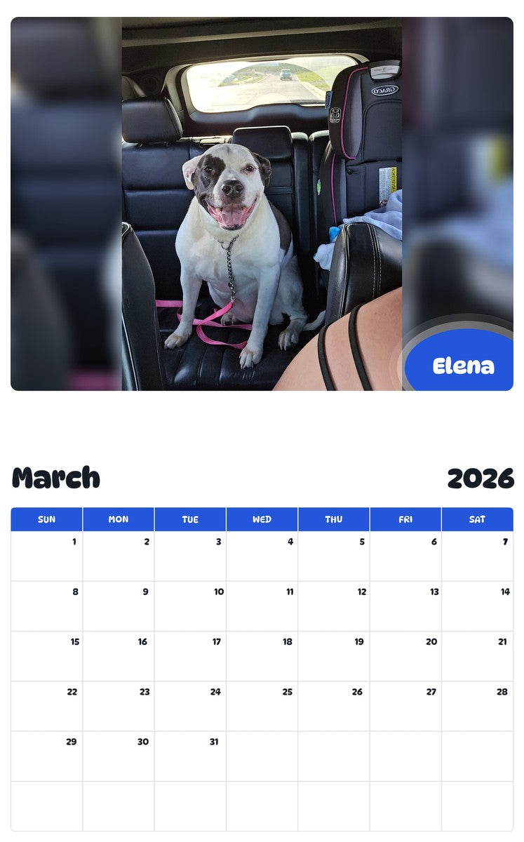 November 2025 - October 2026 Elena - Pawidols Pet Calendar
