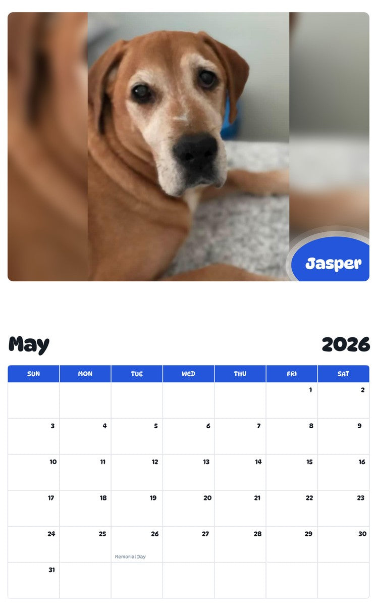 2026 - 2027 Jasper - Pawidols Pet Calendar