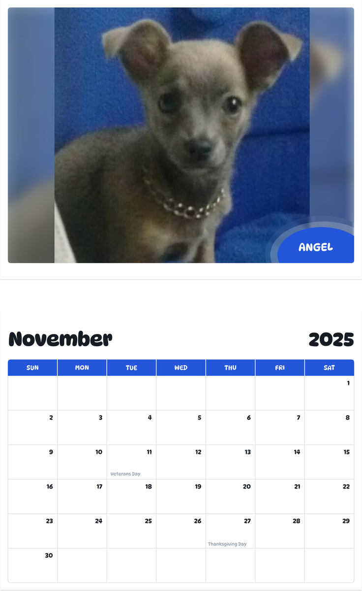 July 2025 - June 2026 Angel - Pawidols Pet Calendar