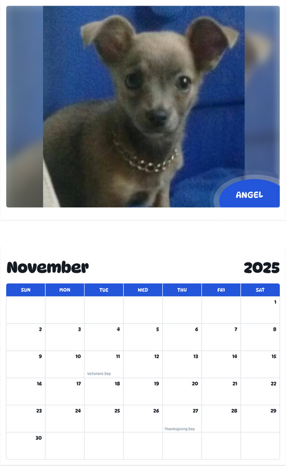 July 2025 - June 2026 Angel - Pawidols Pet Calendar