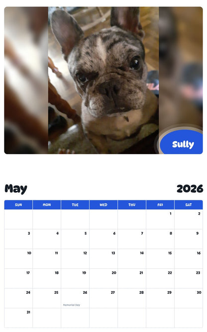 2026 - 2027 Sully - Pawidols Pet Calendar