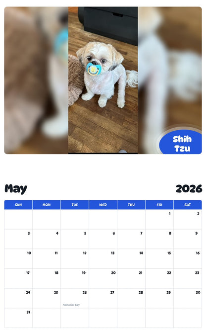 2026 - 2027 Shih Tzu - Pawidols Pet Calendar
