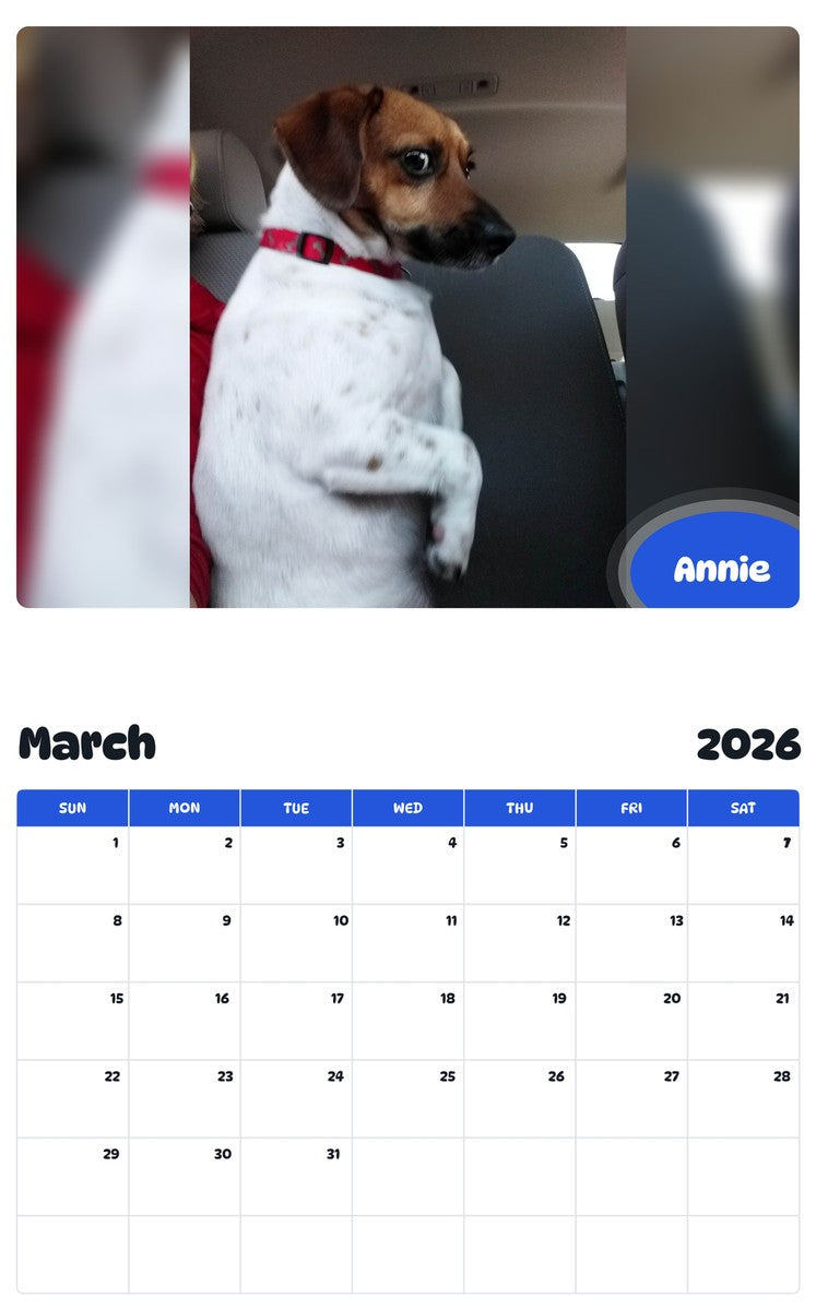 November 2025 - October 2026 Annie - Pawidols Pet Calendar
