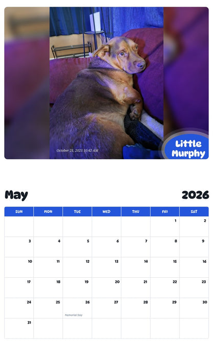 2026 - 2027 Little Murphy - Pawidols Pet Calendar