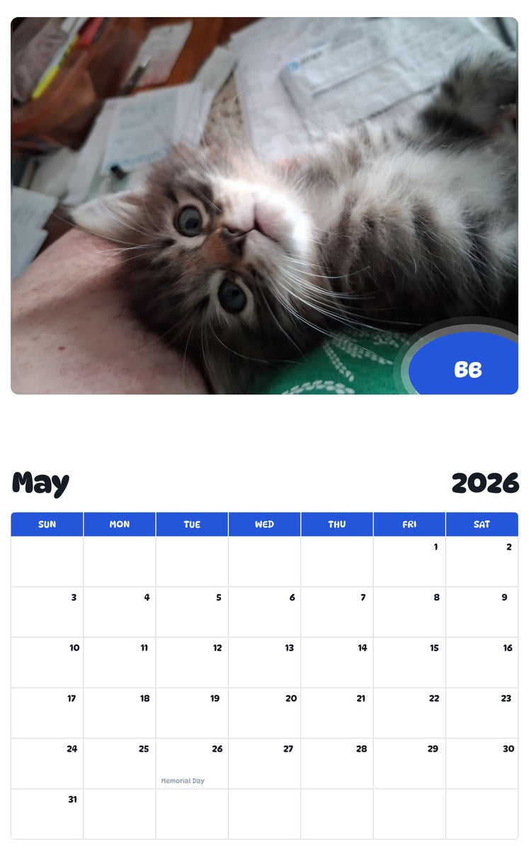 2026 - 2027 BB - Pawidols Pet Calendar