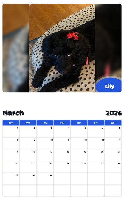 November 2025 - October 2026 Lily - Pawidols Pet Calendar