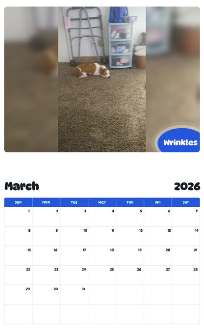 November 2025 - October 2026 Wrinkles - Pawidols Pet Calendar