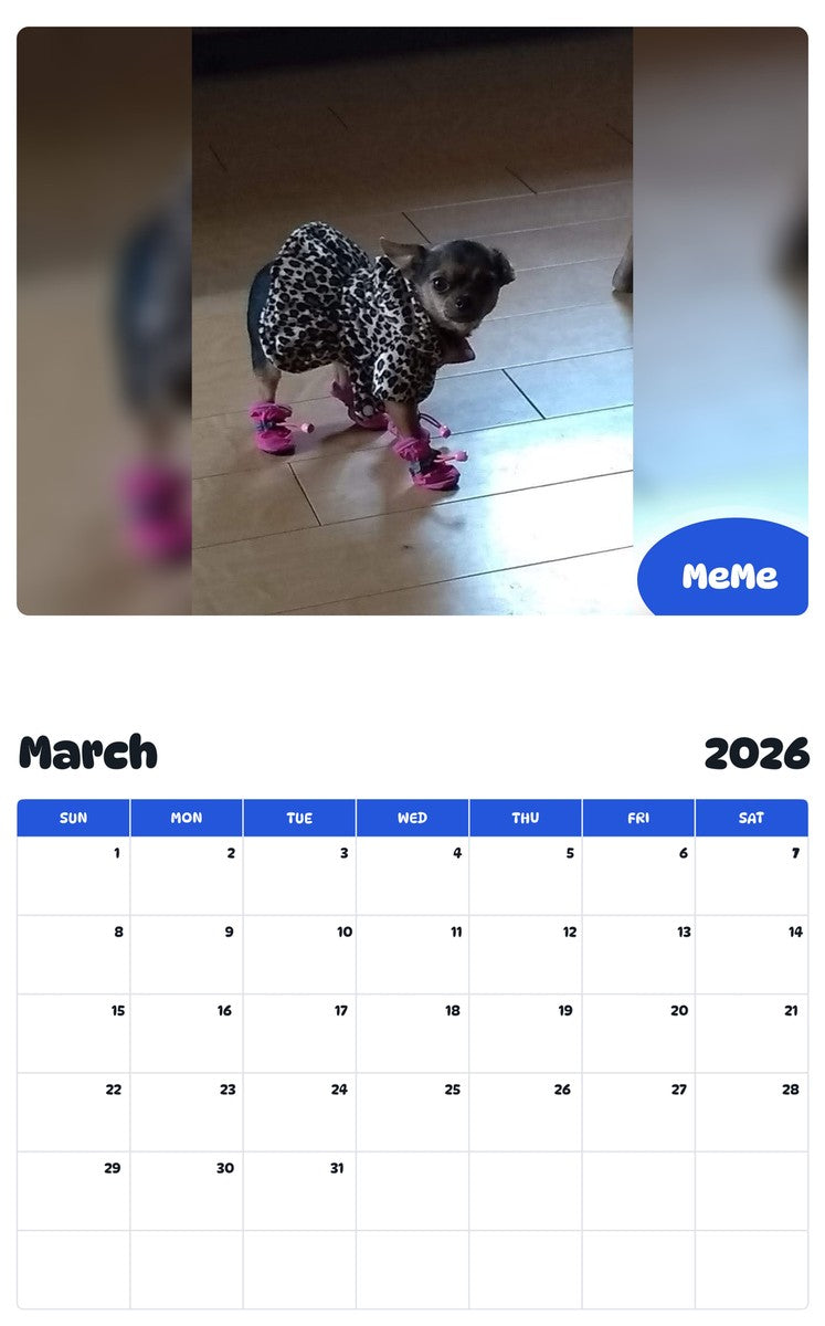 November 2025 - October 2026 MeMe - Pawidols Pet Calendar