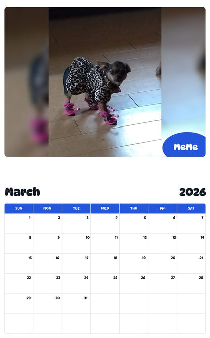 November 2025 - October 2026 MeMe - Pawidols Pet Calendar