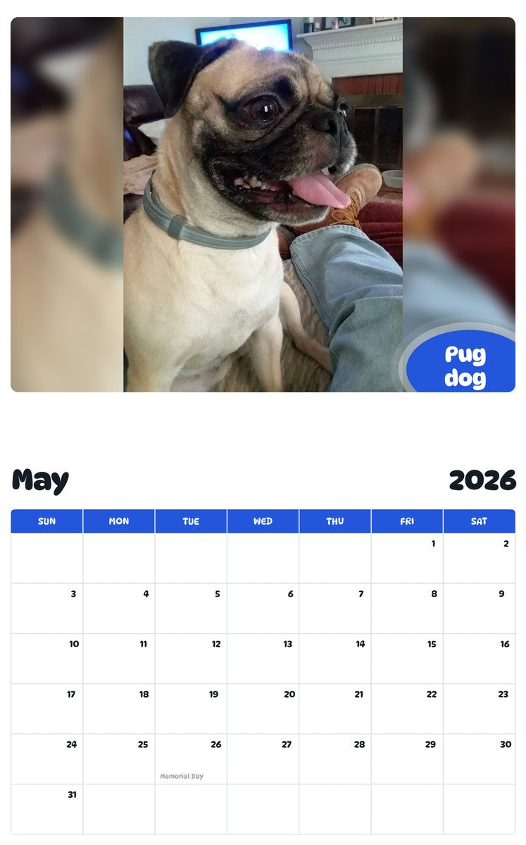 2026 - 2027 Pug dog - Pawidols Pet Calendar