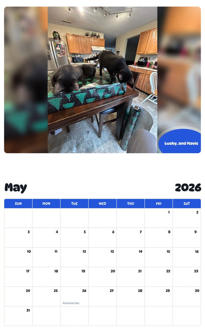 2026 - 2027 Lucky, and Mavis - Pawidols Pet Calendar