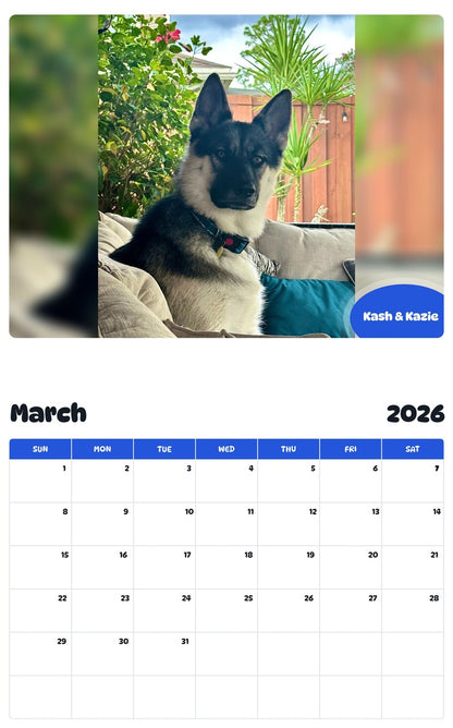 November 2025 - October 2026 Kash & Kazie - Pawidols Pet Calendar