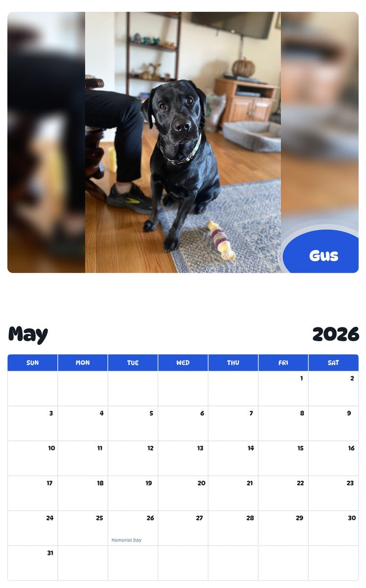 2026 - 2027 Gus - Pawidols Pet Calendar
