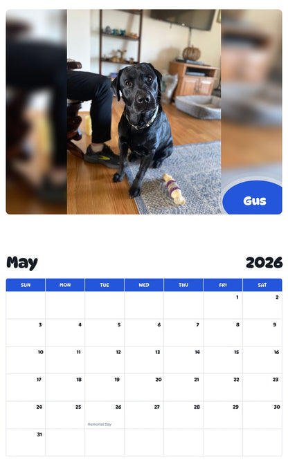2026 - 2027 Gus - Pawidols Pet Calendar