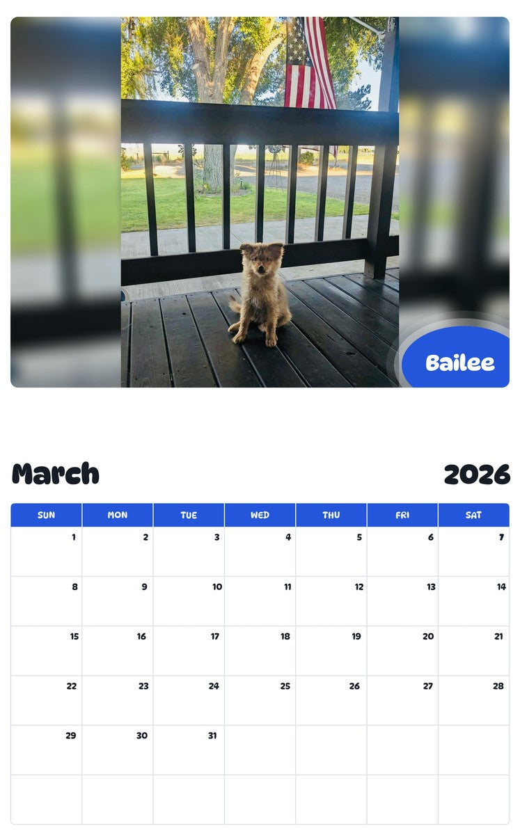 November 2025 - October 2026 Bailee - Pawidols Pet Calendar