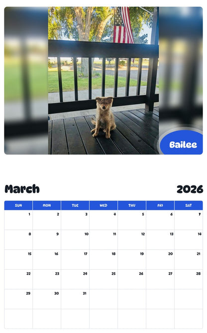 November 2025 - October 2026 Bailee - Pawidols Pet Calendar
