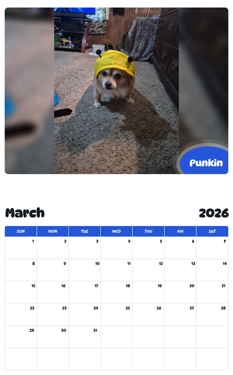 November 2025 - October 2026 Punkin - Pawidols Pet Calendar