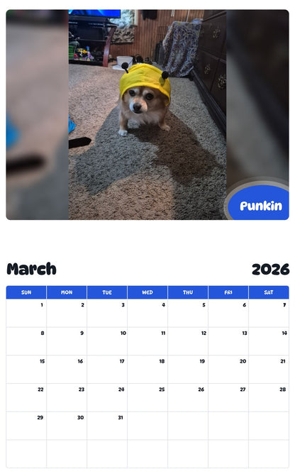 November 2025 - October 2026 Punkin - Pawidols Pet Calendar
