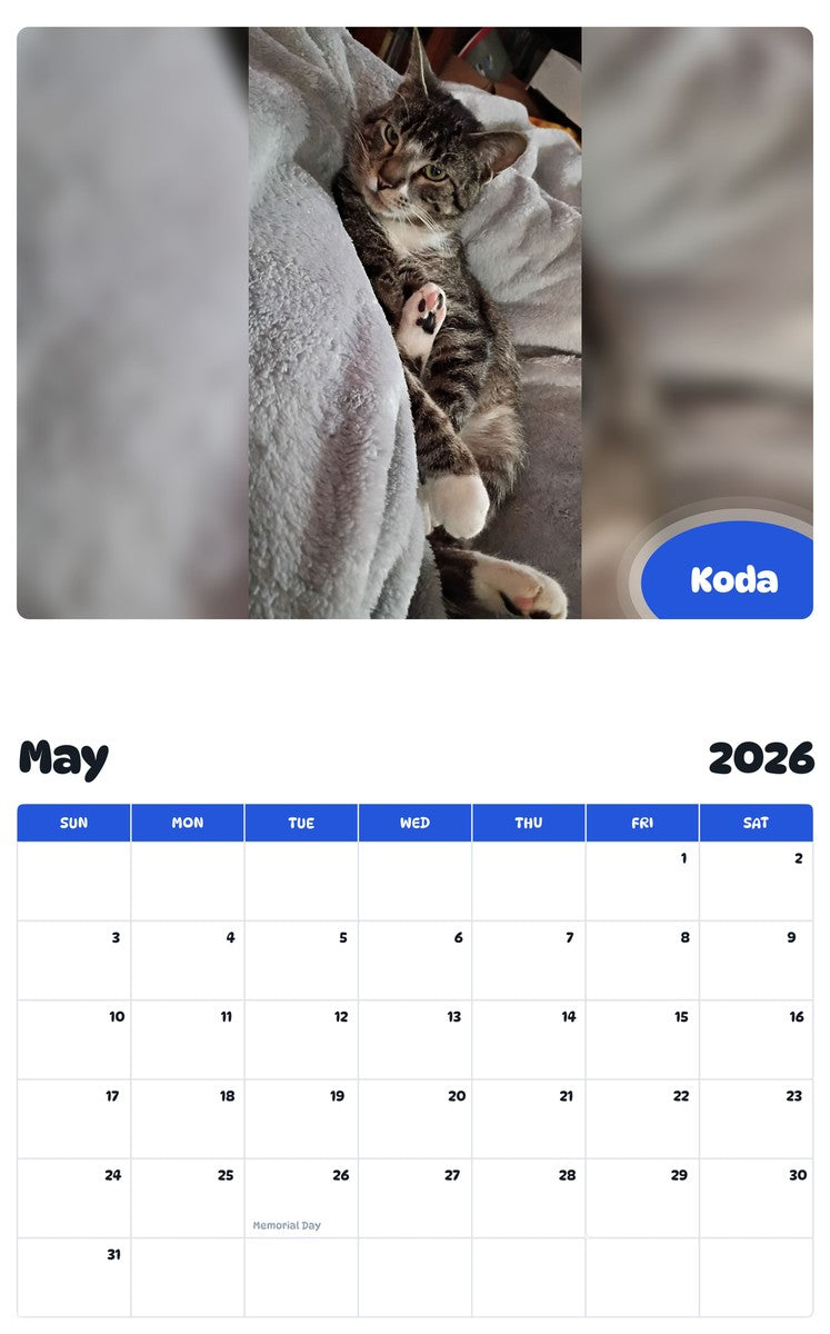 2026 - 2027 Koda - Pawidols Pet Calendar