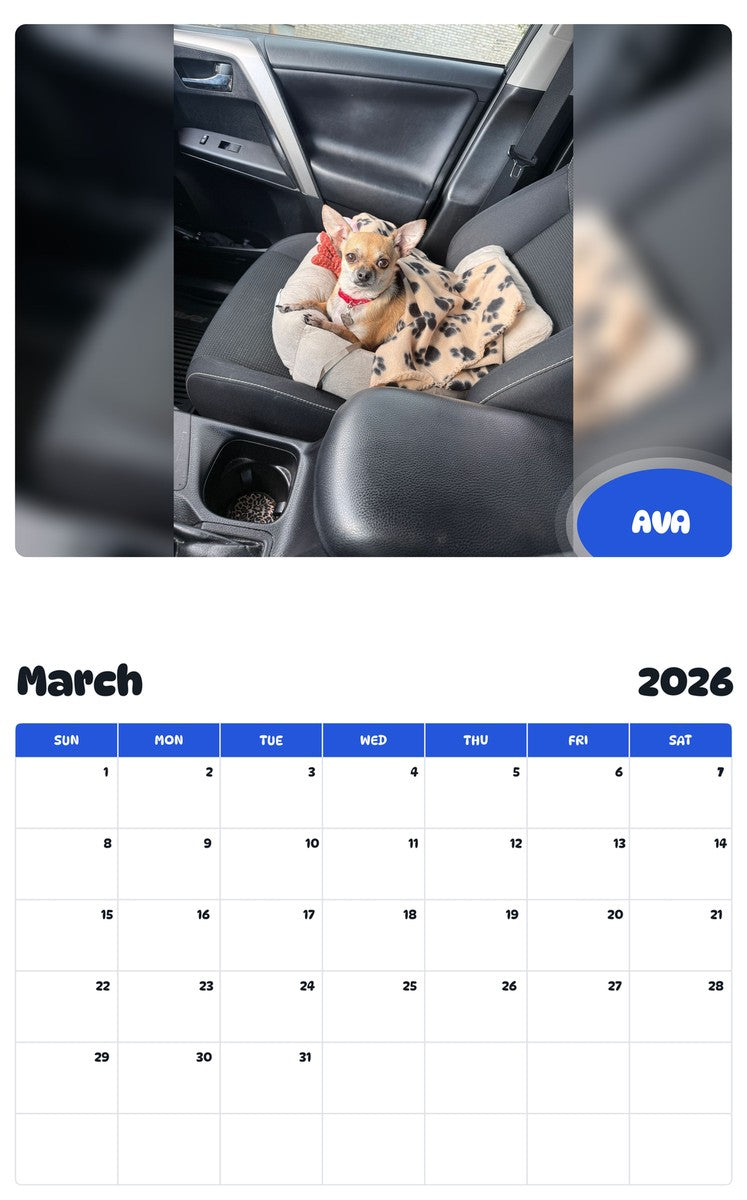 November 2025 - October 2026 AVA - Pawidols Pet Calendar