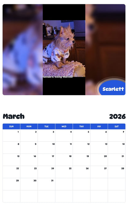 November 2025 - October 2026 Scarlett - Pawidols Pet Calendar