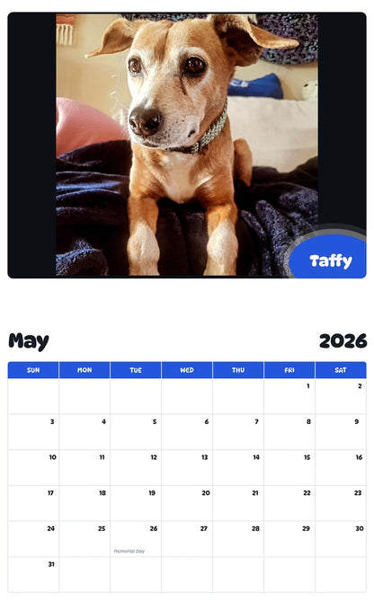 2026 - 2027 Taffy - Pawidols Pet Calendar
