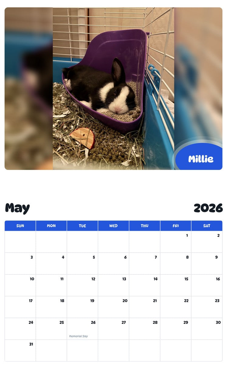 2026 - 2027 Millie - Pawidols Pet Calendar