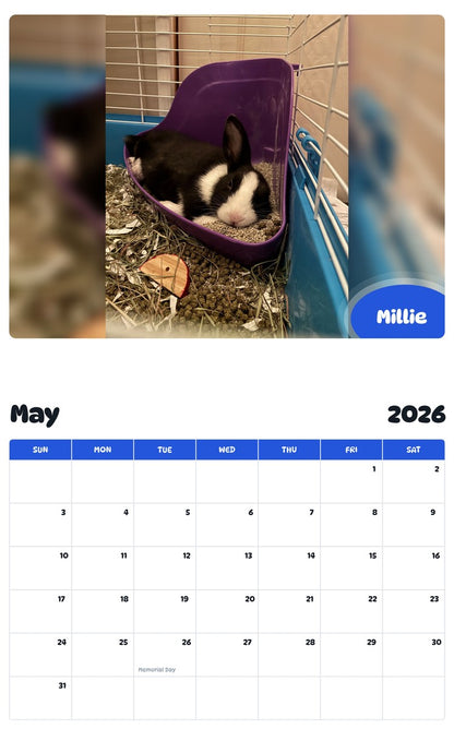 2026 - 2027 Millie - Pawidols Pet Calendar