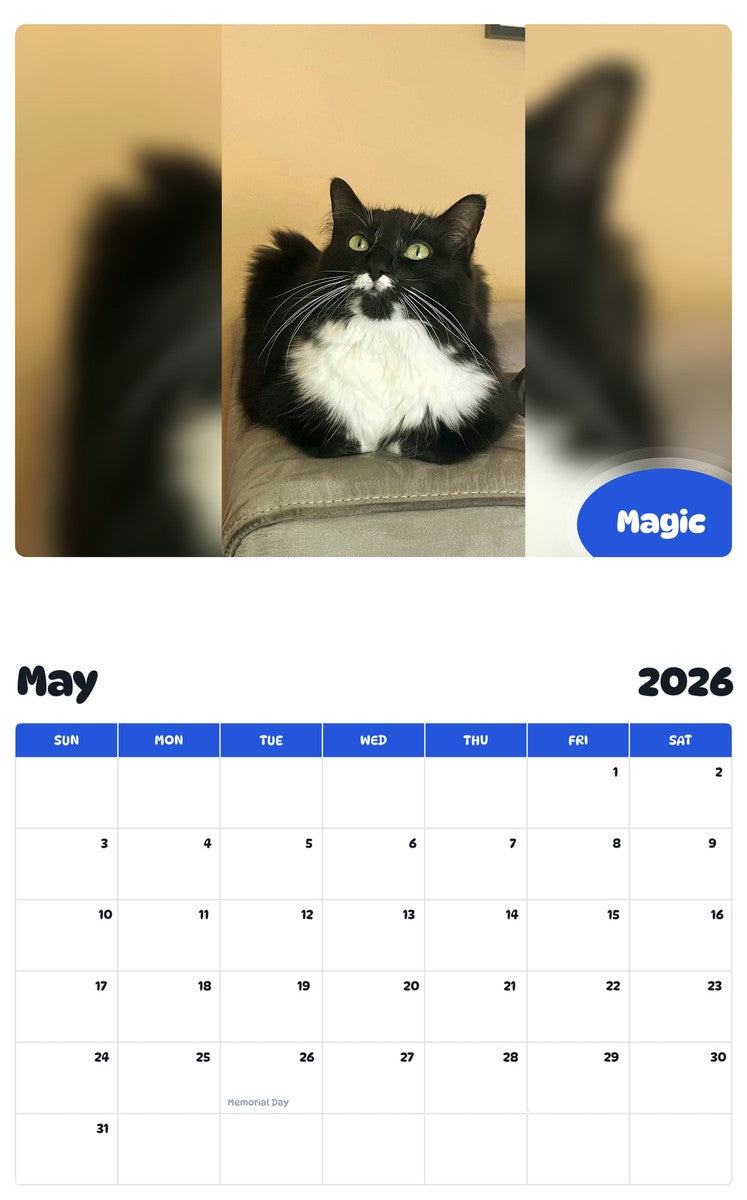 2026 - 2027 Magic - Pawidols Pet Calendar