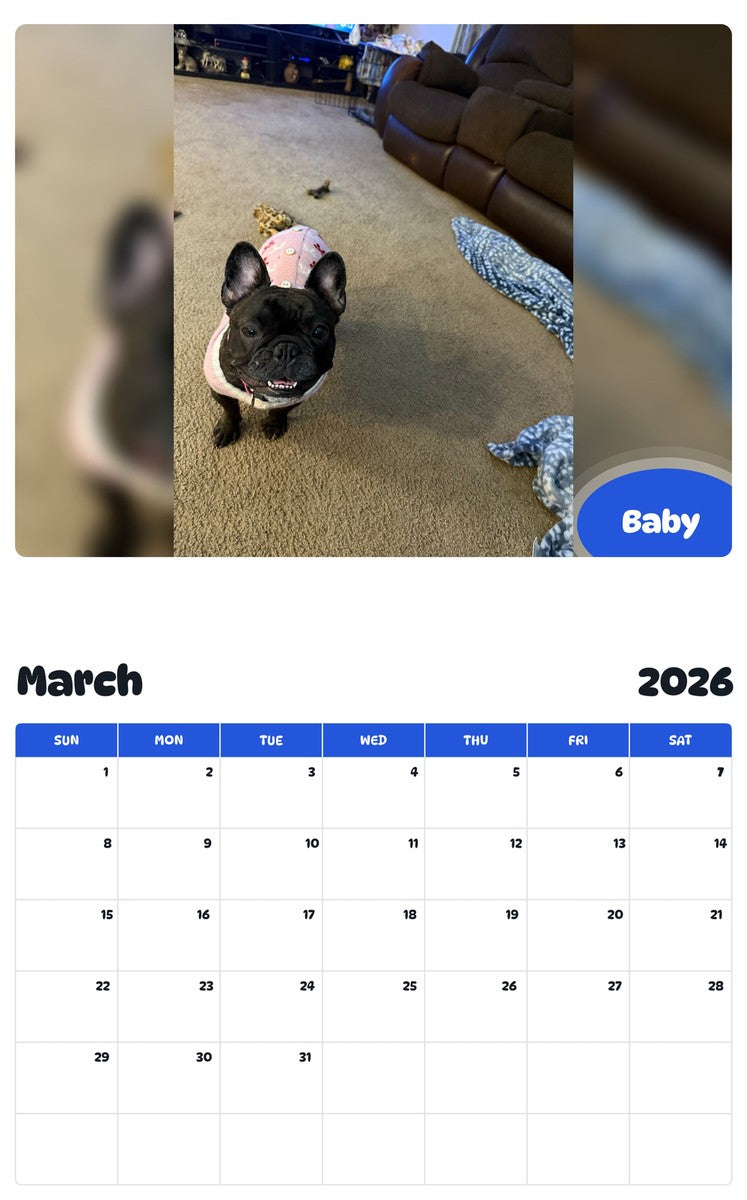 November 2025 - October 2026 Baby - Pawidols Pet Calendar