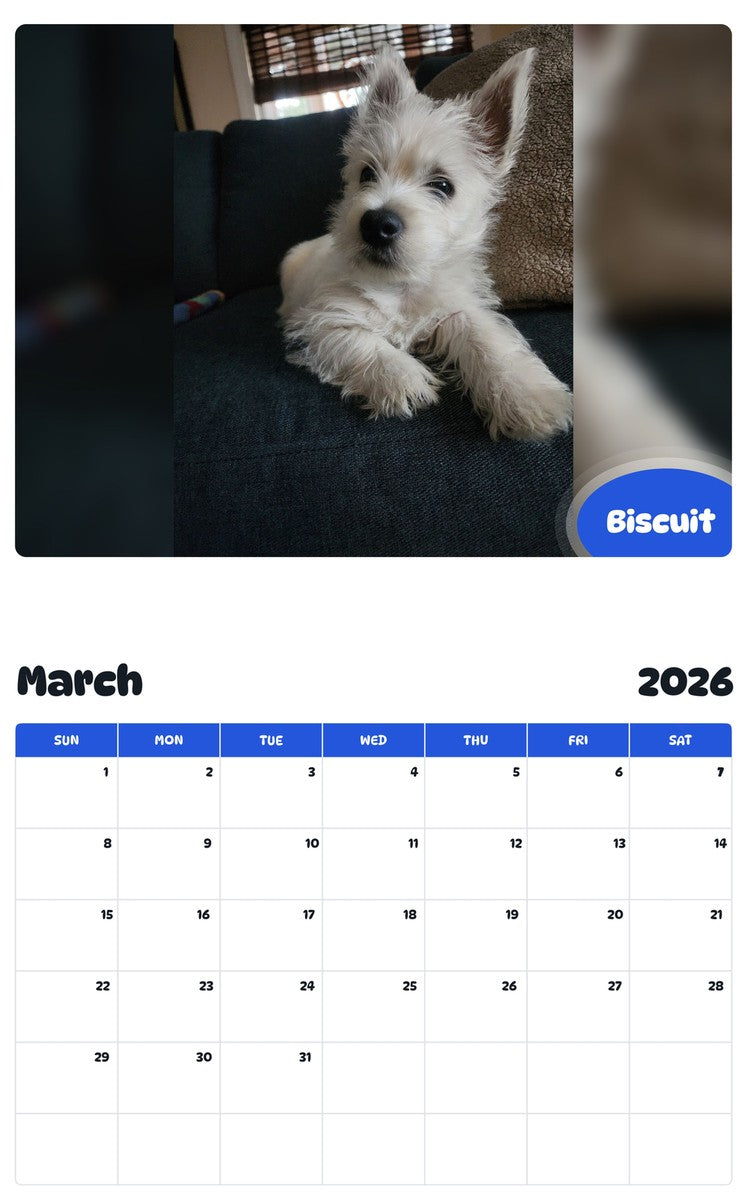 November 2025 - October 2026 Biscuit - Pawidols Pet Calendar