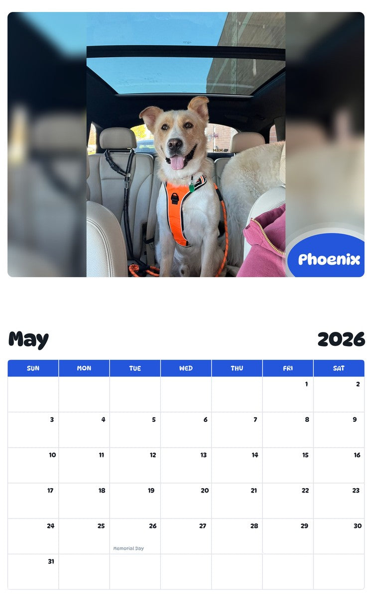 2026 - 2027 Phoenix - Pawidols Pet Calendar