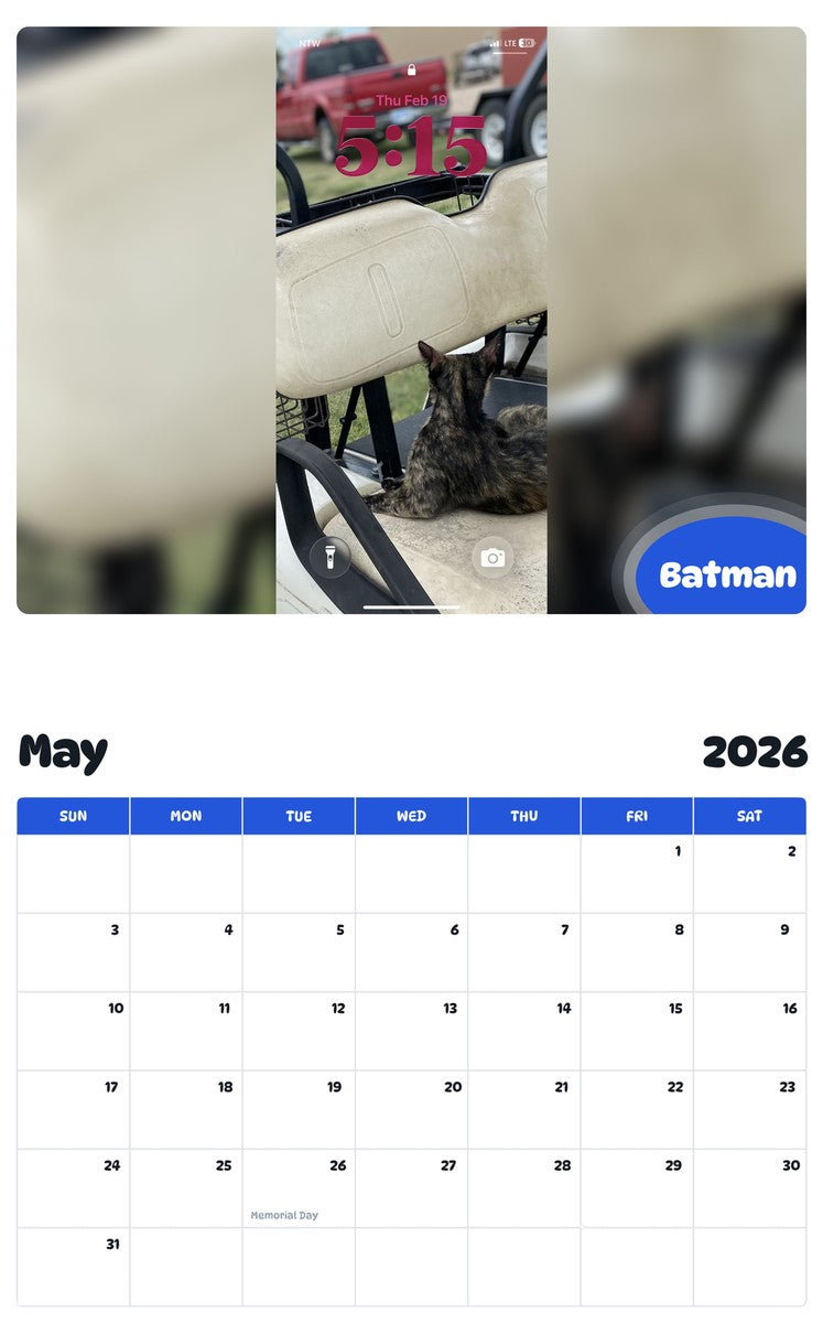 2026 - 2027 Batman - Pawidols Pet Calendar