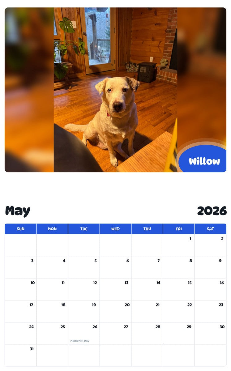 2026 - 2027 Willow - Pawidols Pet Calendar