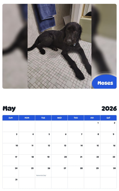 2026 - 2027 Moses - Pawidols Pet Calendar