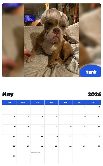 2026 - 2027 Tank - Pawidols Pet Calendar