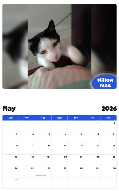 2026 - 2027 Willow mae - Pawidols Pet Calendar