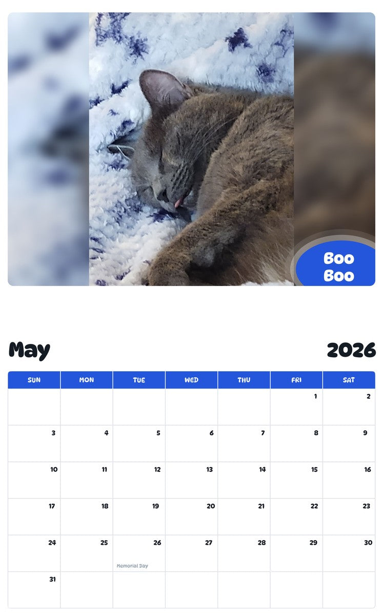 2026 - 2027 Boo Boo - Pawidols Pet Calendar