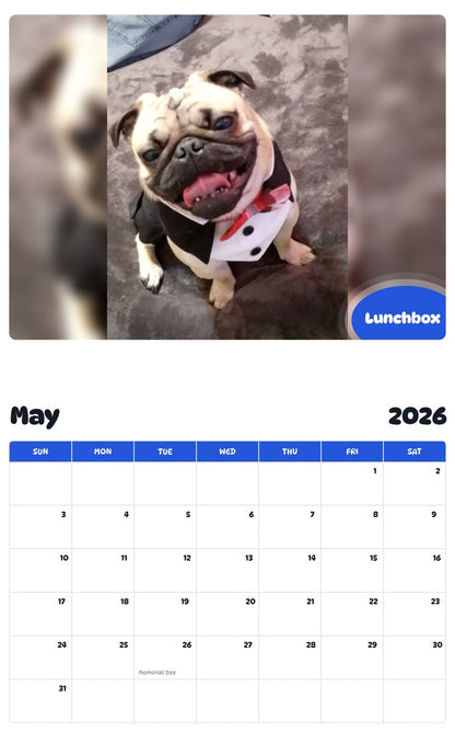 2026 - 2027 Lunchbox - Pawidols Pet Calendar