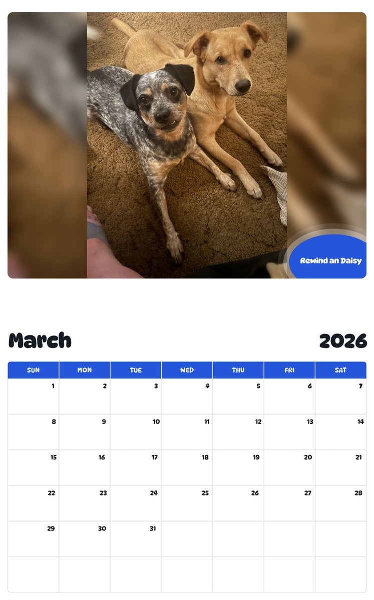 November 2025 - October 2026 Rewind an Daisy - Pawidols Pet Calendar