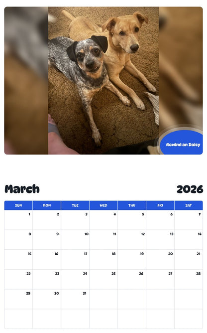 November 2025 - October 2026 Rewind an Daisy - Pawidols Pet Calendar