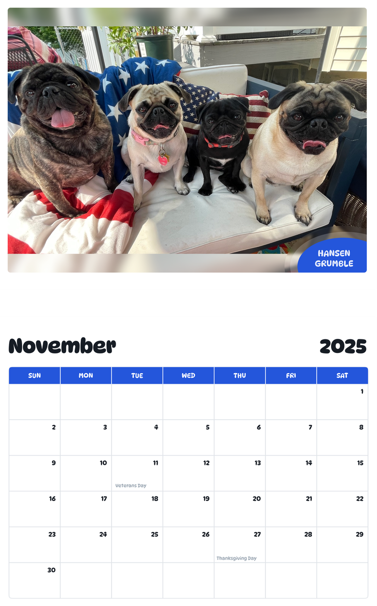 July 2025 - June 2026 Hansen grumble - Pawidols Pet Calendar