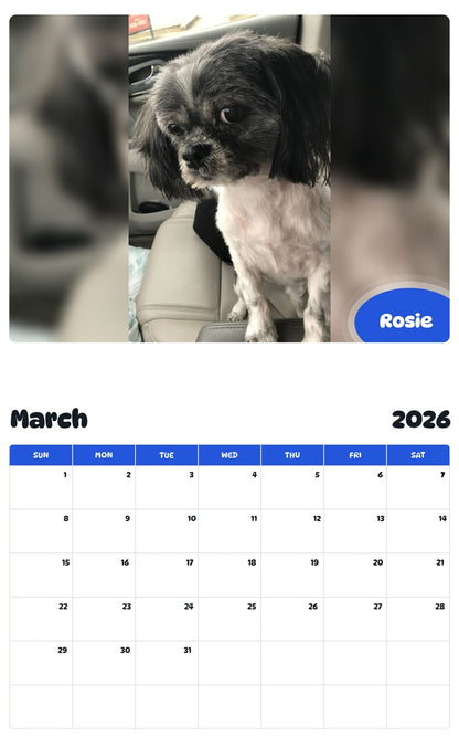 November 2025 - October 2026 Rosie - Pawidols Pet Calendar