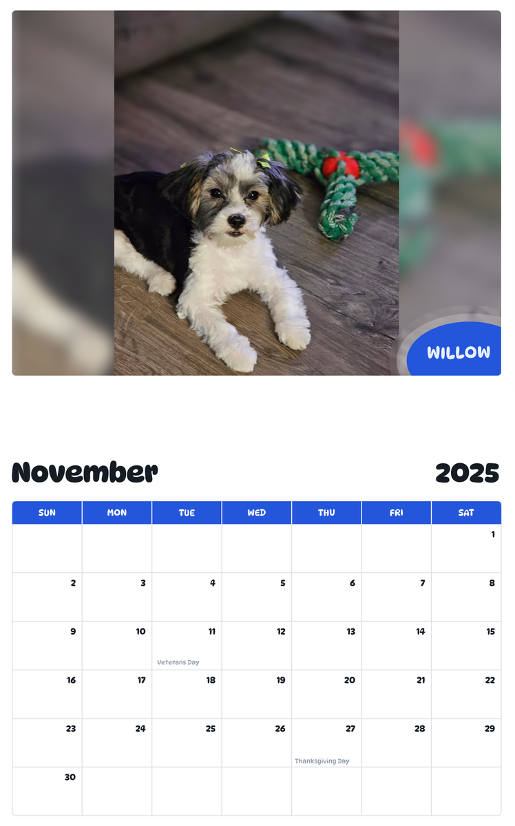 July 2025 - June 2026 Willow - Pawidols Pet Calendar