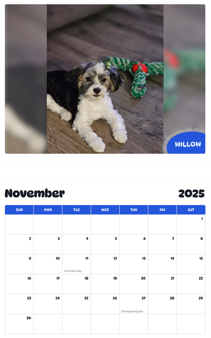 July 2025 - June 2026 Willow - Pawidols Pet Calendar