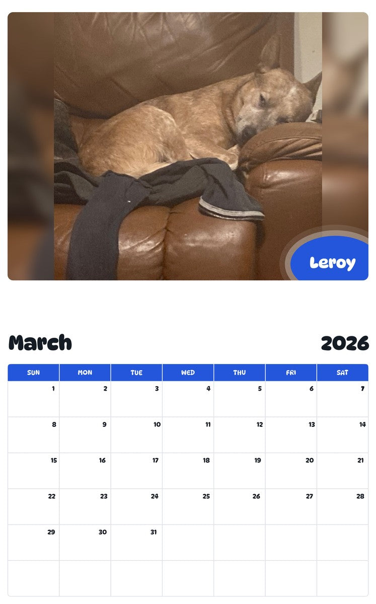 November 2025 - October 2026 Leroy - Pawidols Pet Calendar